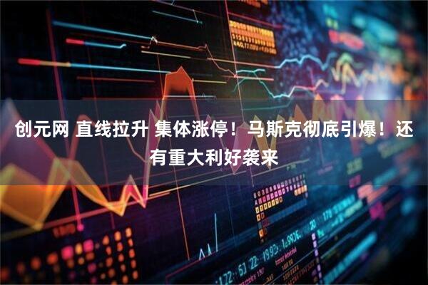 创元网 直线拉升 集体涨停！马斯克彻底引爆！还有重大利好袭来