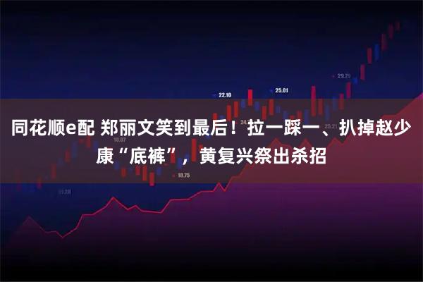 同花顺e配 郑丽文笑到最后!拉一踩一、扒掉赵少康“底裤”,黄复兴祭出杀招